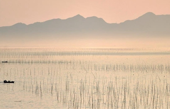 A glance of Xiapu in SE China's Fujian